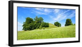 Cultivated Landscape with Hills and Trees, Agriculturally Extensively Used Meadows, Bavaria-Andreas Vitting-Framed Photographic Print