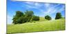 Cultivated Landscape with Hills and Trees, Agriculturally Extensively Used Meadows, Bavaria-Andreas Vitting-Mounted Photographic Print