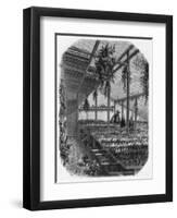 Cultivating Cacti, Paris 1857-null-Framed Art Print
