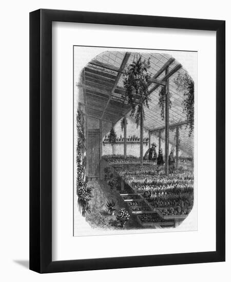 Cultivating Cacti, Paris 1857-null-Framed Art Print