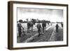 Cultivating Cotton Demonstration-George W. Ackerman-Framed Art Print