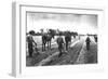 Cultivating Cotton Demonstration-George W. Ackerman-Framed Art Print