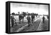 Cultivating Cotton Demonstration-George W. Ackerman-Framed Stretched Canvas