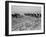 Cultivating cotton in Arkansas, 1938-Dorothea Lange-Framed Photographic Print