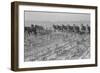 Cultivating Cotton-Dorothea Lange-Framed Art Print