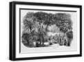 Black Frame