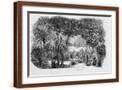 Brown Frame