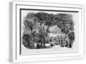 White Frame