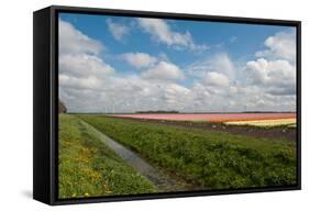 Cultivation of Flower Bulbs in Spring-Jan Marijs-Framed Stretched Canvas