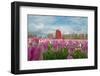 Cultivation of Flower Bulbs in Spring-Jan Marijs-Framed Photographic Print