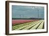 Cultivation of Flower Bulbs in Spring-Jan Marijs-Framed Photographic Print