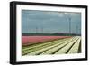 Cultivation of Flower Bulbs in Spring-Jan Marijs-Framed Photographic Print