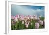 Cultivation of Flower Bulbs in Spring-Jan Marijs-Framed Photographic Print