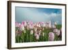 Cultivation of Flower Bulbs in Spring-Jan Marijs-Framed Photographic Print