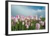 Cultivation of Flower Bulbs in Spring-Jan Marijs-Framed Photographic Print