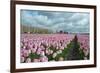 Cultivation of Flower Bulbs in Spring-Jan Marijs-Framed Photographic Print