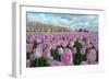 Cultivation of Flower Bulbs in Spring-Jan Marijs-Framed Photographic Print