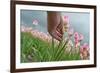 Cultivation of Flower Bulbs in Spring-Jan Marijs-Framed Photographic Print