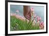 Cultivation of Flower Bulbs in Spring-Jan Marijs-Framed Photographic Print