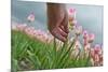 Cultivation of Flower Bulbs in Spring-Jan Marijs-Mounted Photographic Print