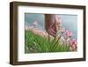 Cultivation of Flower Bulbs in Spring-Jan Marijs-Framed Photographic Print