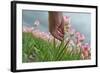 Cultivation of Flower Bulbs in Spring-Jan Marijs-Framed Photographic Print