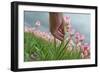 Cultivation of Flower Bulbs in Spring-Jan Marijs-Framed Photographic Print