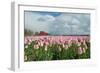 Cultivation of Flower Bulbs in Spring-Jan Marijs-Framed Photographic Print