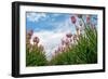 Cultivation of Flower Bulbs in Spring-Jan Marijs-Framed Photographic Print