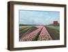 Cultivation of Flower Bulbs in Spring-Jan Marijs-Framed Photographic Print