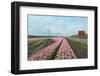 Cultivation of Flower Bulbs in Spring-Jan Marijs-Framed Photographic Print