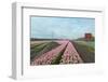 Cultivation of Flower Bulbs in Spring-Jan Marijs-Framed Photographic Print