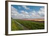 Cultivation of Flower Bulbs in Spring-Jan Marijs-Framed Photographic Print