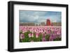 Cultivation of Flower Bulbs in Spring-Jan Marijs-Framed Photographic Print