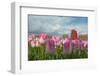 Cultivation of Flower Bulbs in Spring-Jan Marijs-Framed Photographic Print