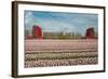 Cultivation of Flower Bulbs in Spring-Jan Marijs-Framed Photographic Print