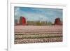 Cultivation of Flower Bulbs in Spring-Jan Marijs-Framed Photographic Print