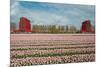 Cultivation of Flower Bulbs in Spring-Jan Marijs-Mounted Photographic Print