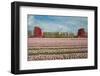 Cultivation of Flower Bulbs in Spring-Jan Marijs-Framed Photographic Print