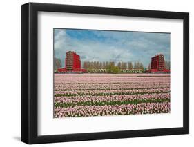 Cultivation of Flower Bulbs in Spring-Jan Marijs-Framed Photographic Print