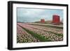 Cultivation of Flower Bulbs in Spring-Jan Marijs-Framed Photographic Print