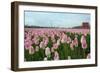 Cultivation of Flower Bulbs in Spring-Jan Marijs-Framed Photographic Print