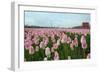 Cultivation of Flower Bulbs in Spring-Jan Marijs-Framed Photographic Print