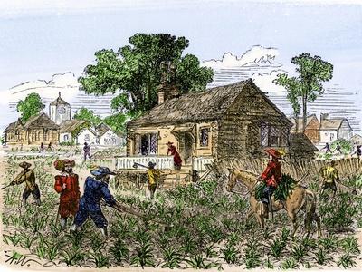 https://imgc.allpostersimages.com/img/posters/cultivation-of-tobacco-in-colonial-virginia_u-L-P26W3W0.jpg?artPerspective=n