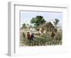 Cultivation of Tobacco in Colonial Virginia-null-Framed Giclee Print