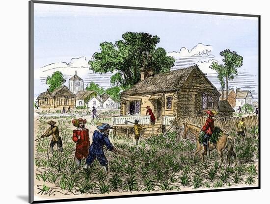 Cultivation of Tobacco in Colonial Virginia-null-Mounted Giclee Print