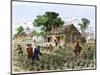 Cultivation of Tobacco in Colonial Virginia-null-Mounted Giclee Print