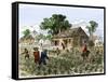 Cultivation of Tobacco in Colonial Virginia-null-Framed Stretched Canvas