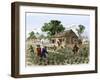 Cultivation of Tobacco in Colonial Virginia-null-Framed Giclee Print