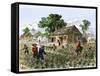 Cultivation of Tobacco in Colonial Virginia-null-Framed Stretched Canvas